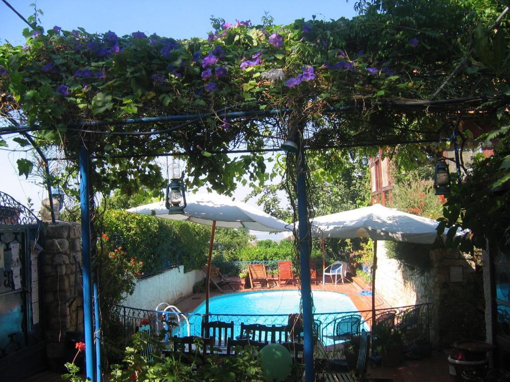 Villa Tehila - By V Club Chain Rosch Pina Exterior foto